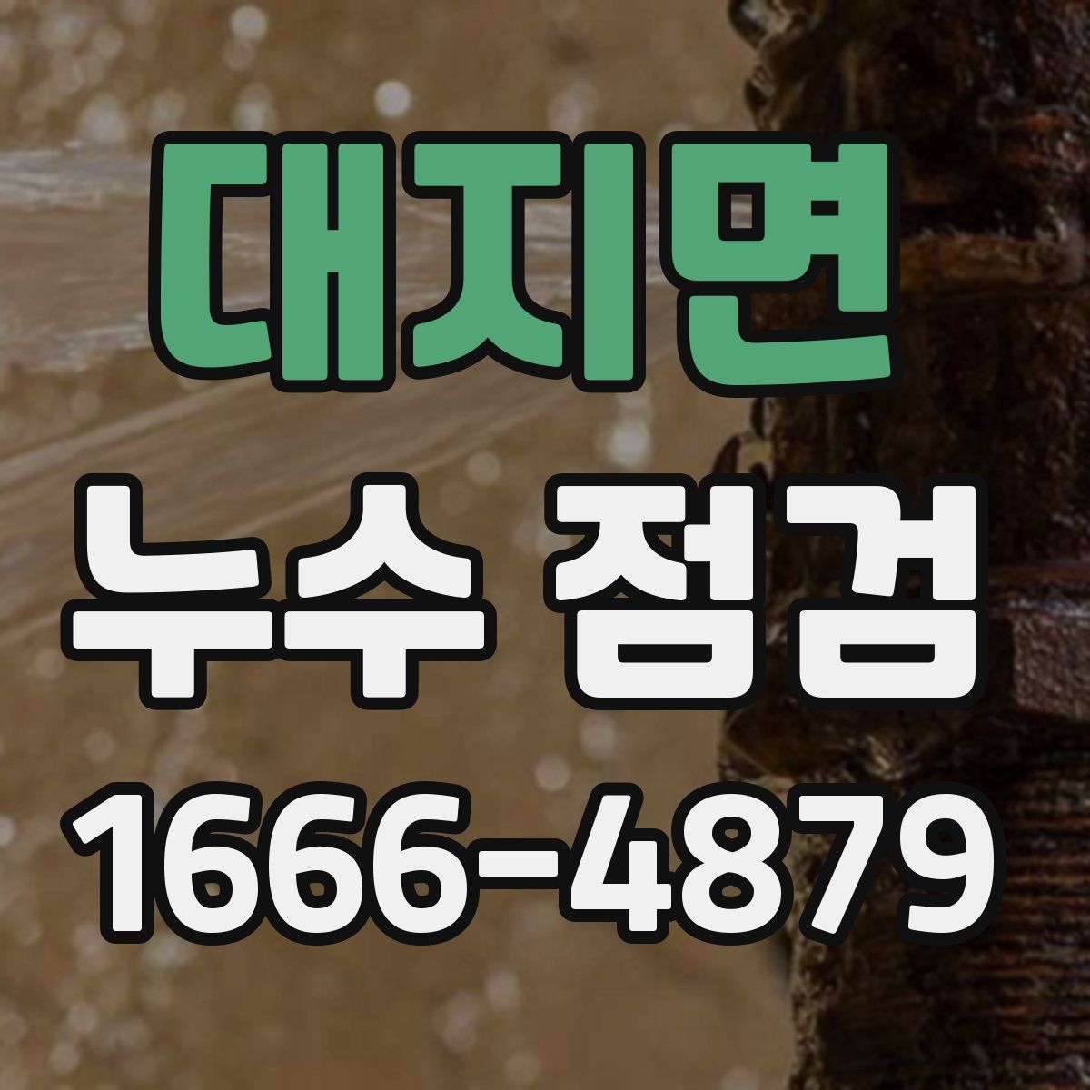 대지면 누수 점검