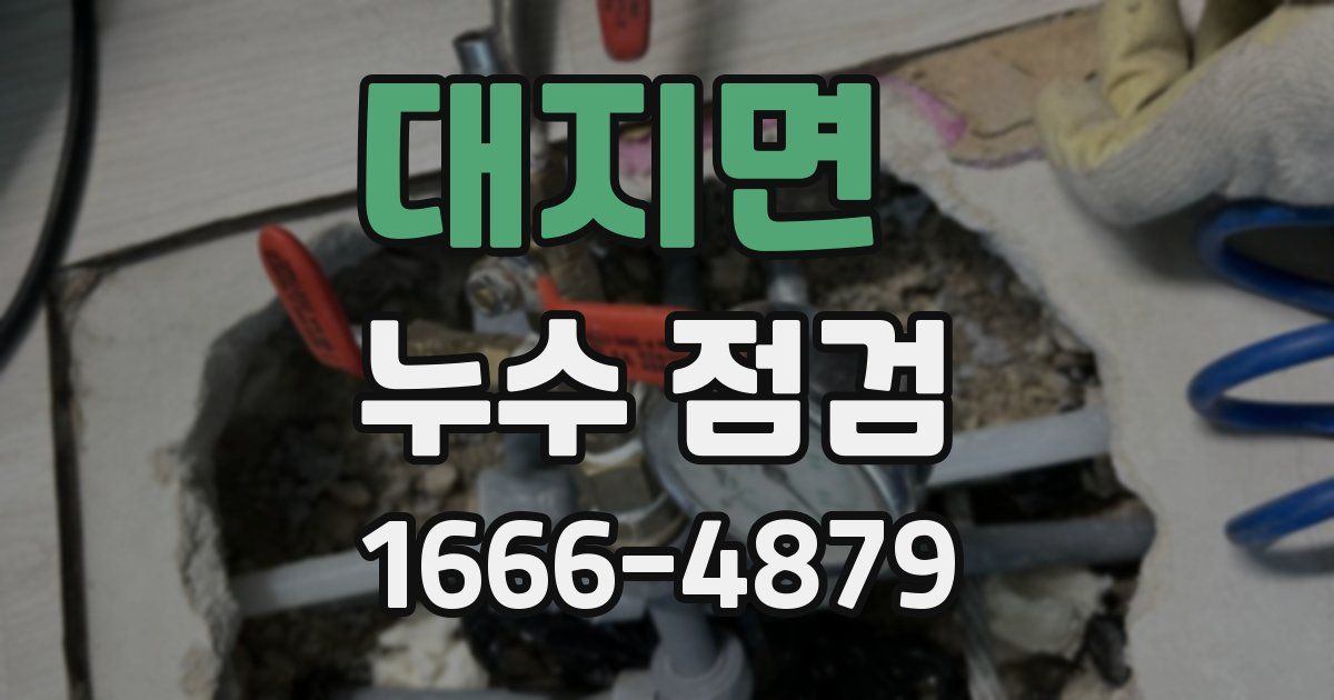 대지면 누수 점검