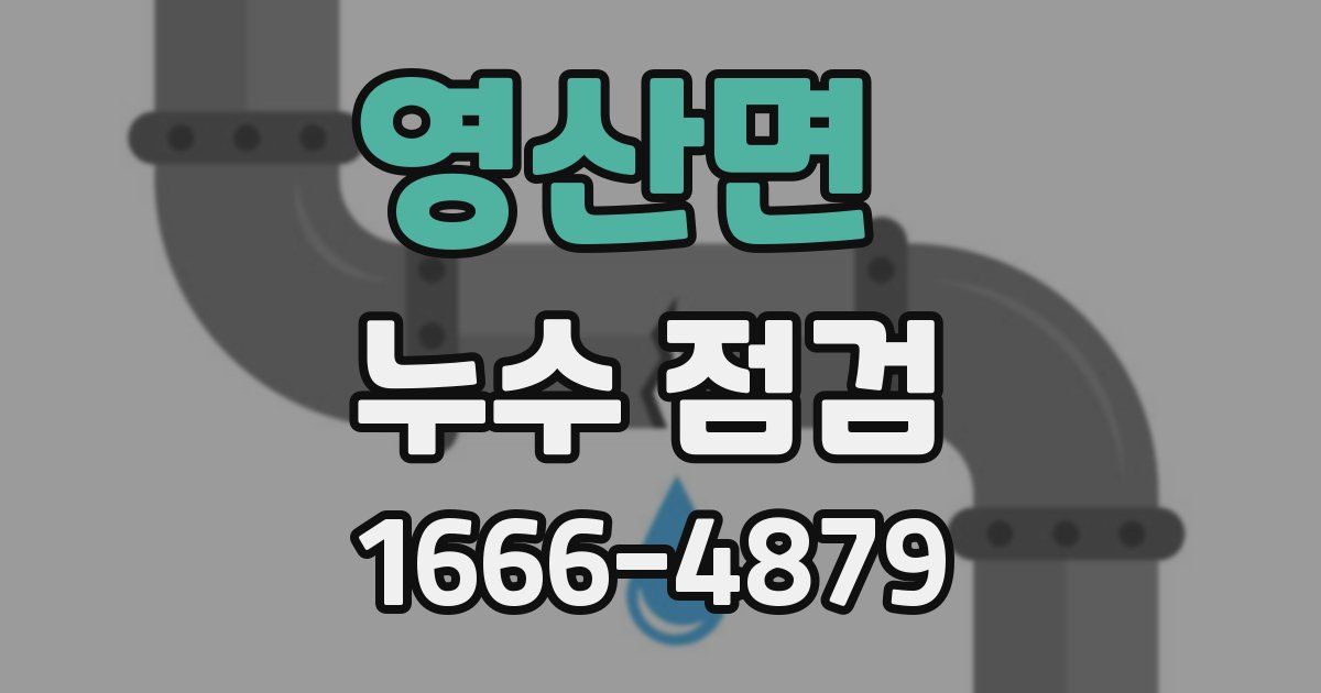 영산면 누수 점검