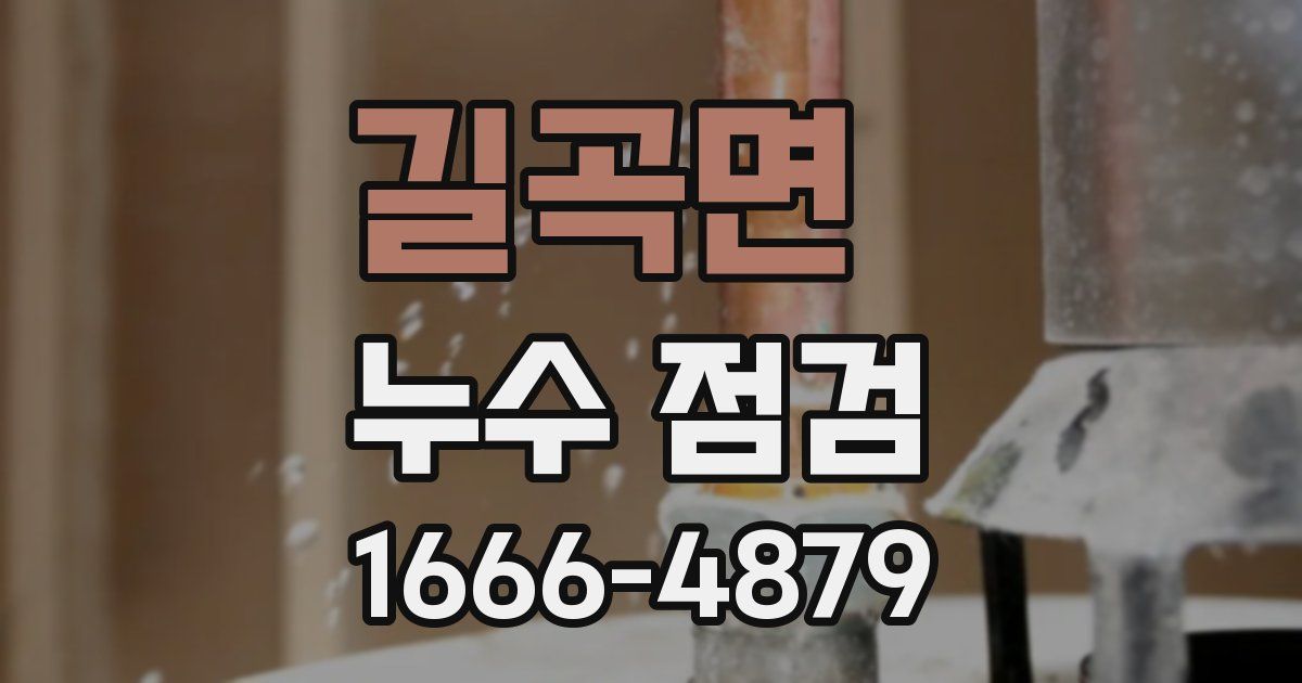 길곡면 누수 점검