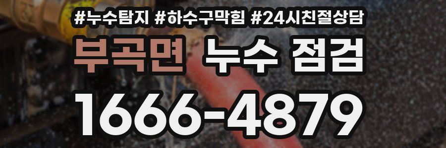 부곡면 누수 점검