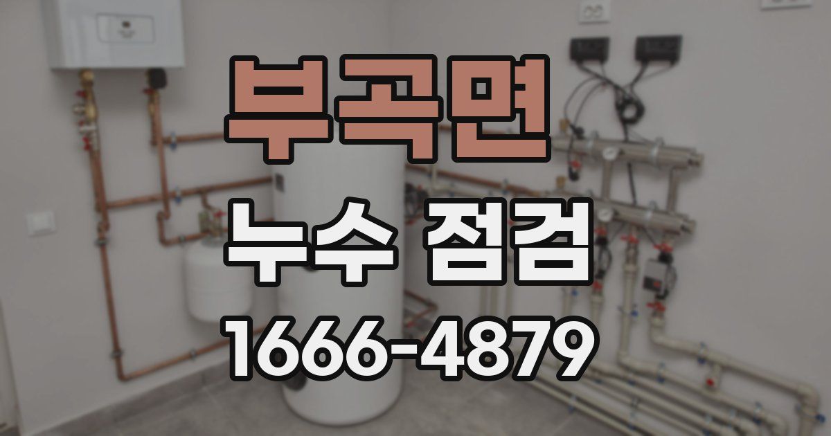 부곡면 누수 점검