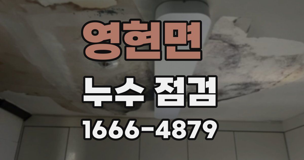 영현면 누수 점검