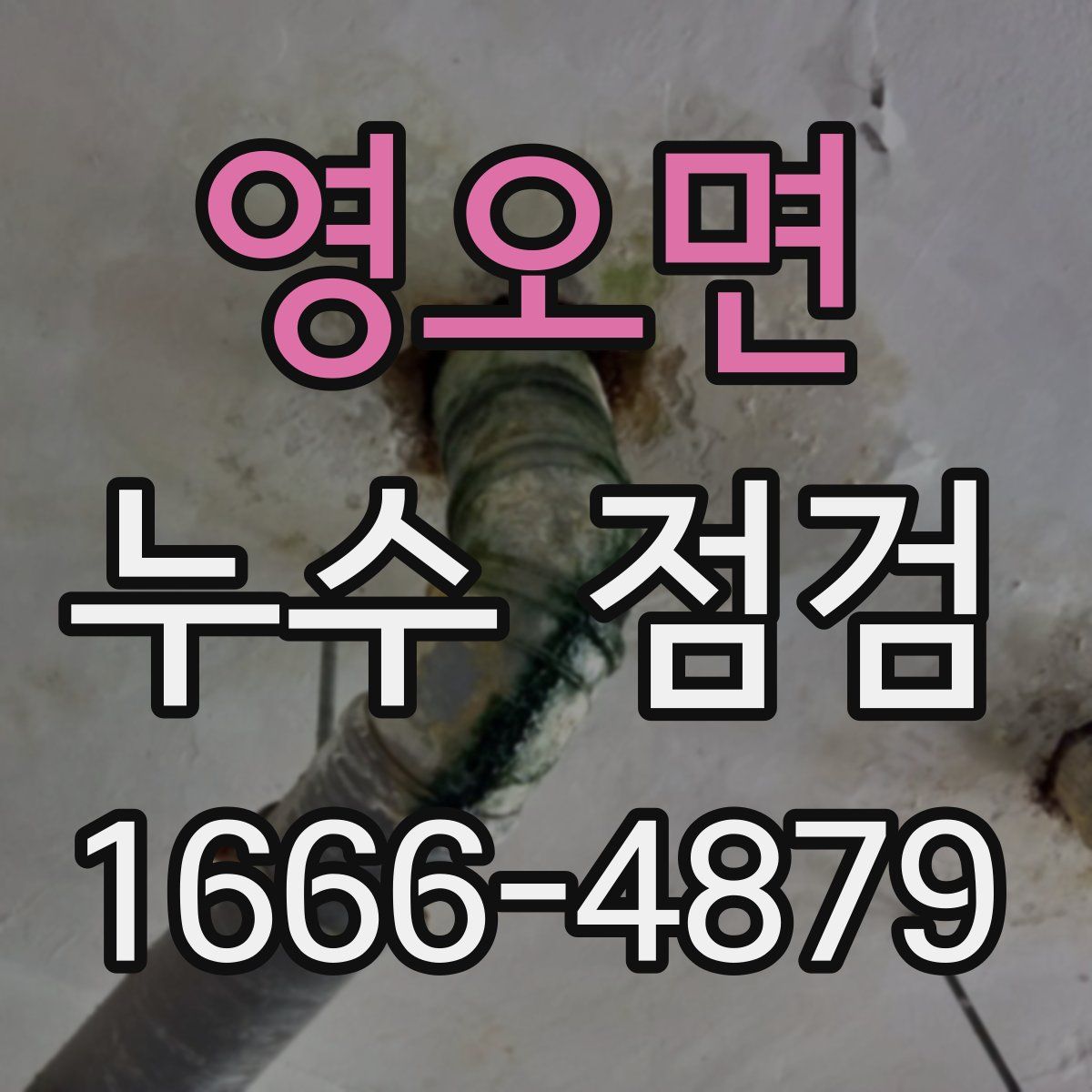 영오면 누수 점검