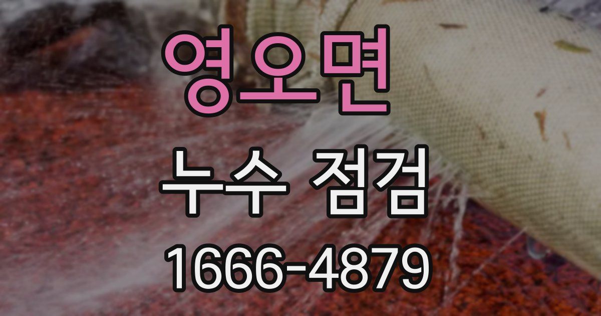 영오면 누수 점검