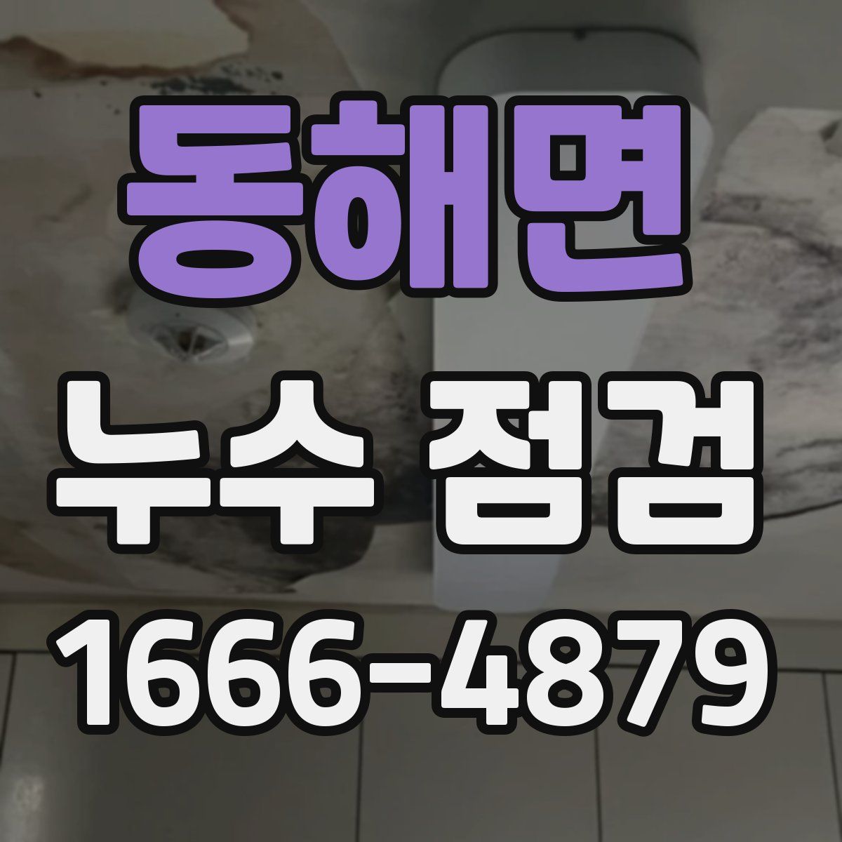 동해면 누수 점검