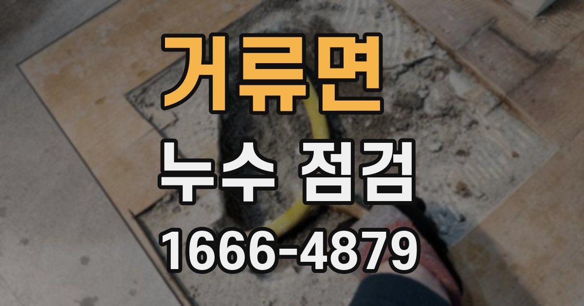 거류면 누수 점검