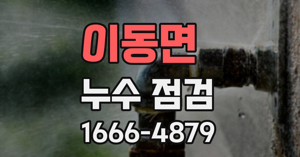 이동면 누수 점검