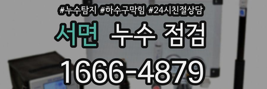 서면 누수 점검