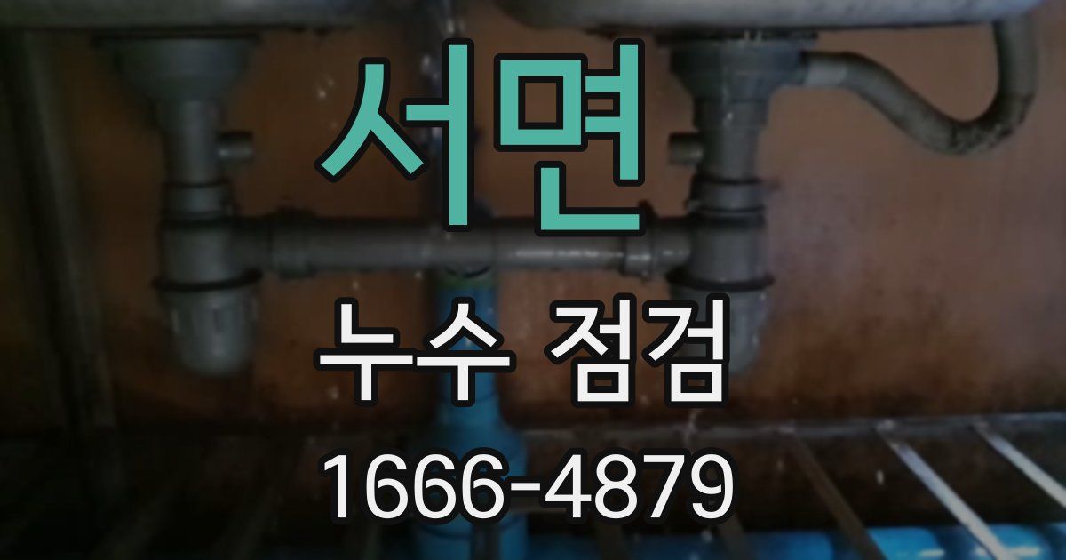 서면 누수 점검