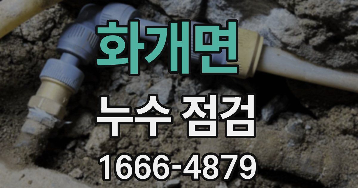 화개면 누수 점검