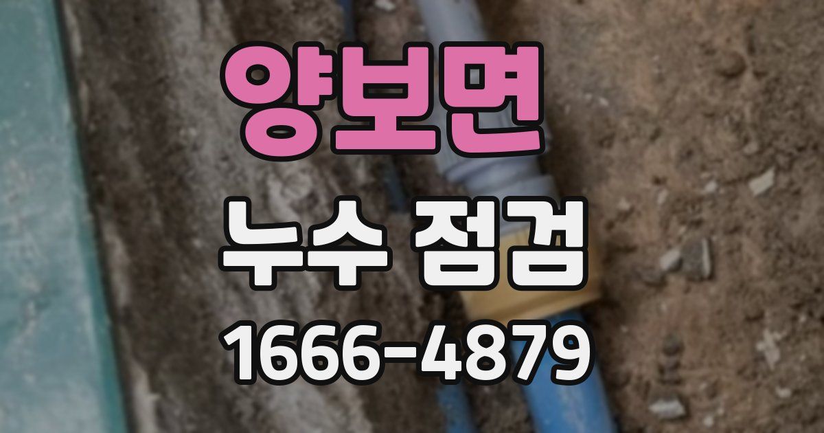 양보면 누수 점검