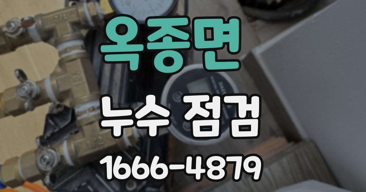 옥종면 누수 점검