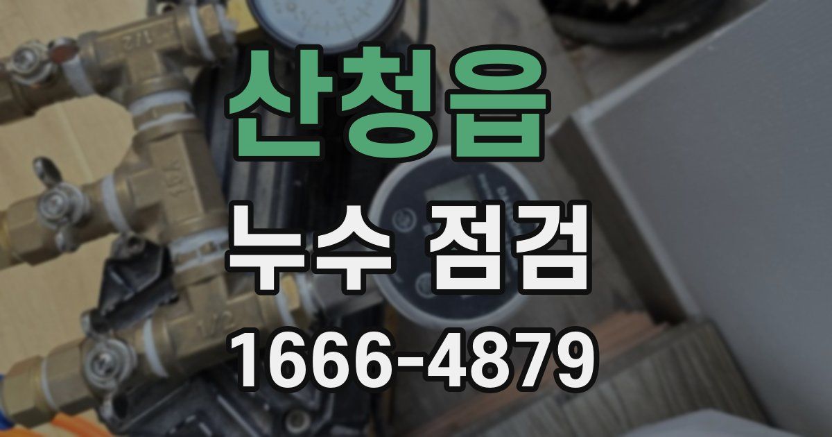 산청읍 누수 점검