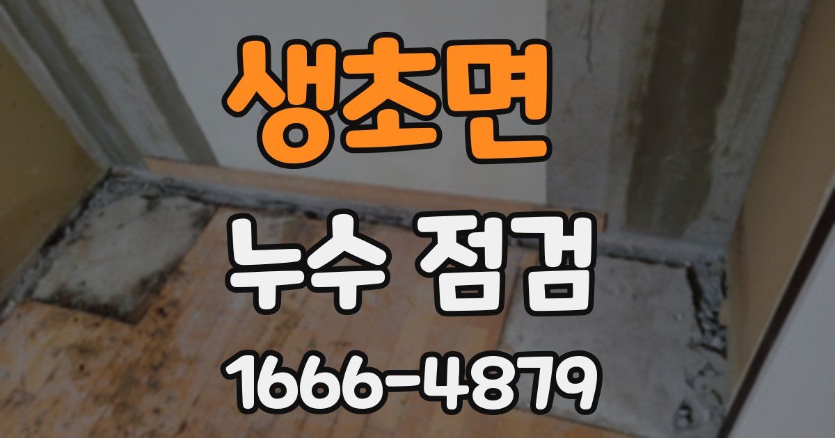 생초면 누수 점검
