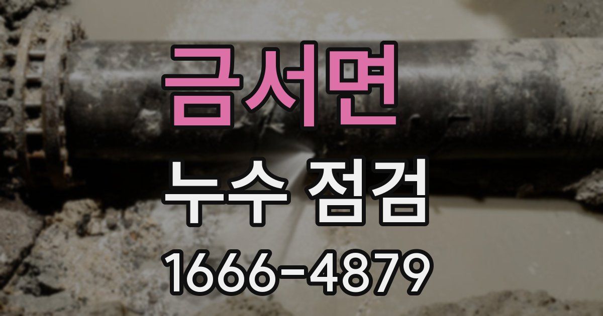금서면 누수 점검