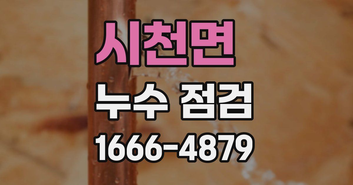 시천면 누수 점검