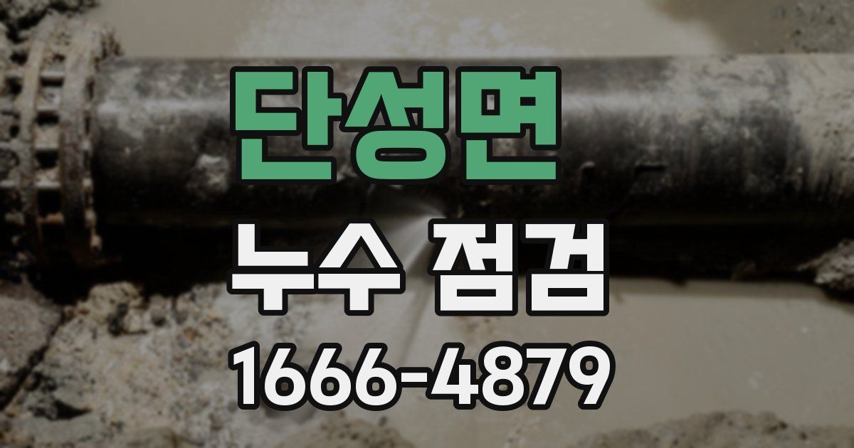 단성면 누수 점검