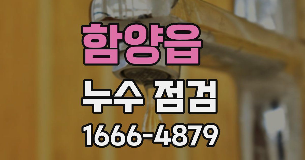 함양읍 누수 점검