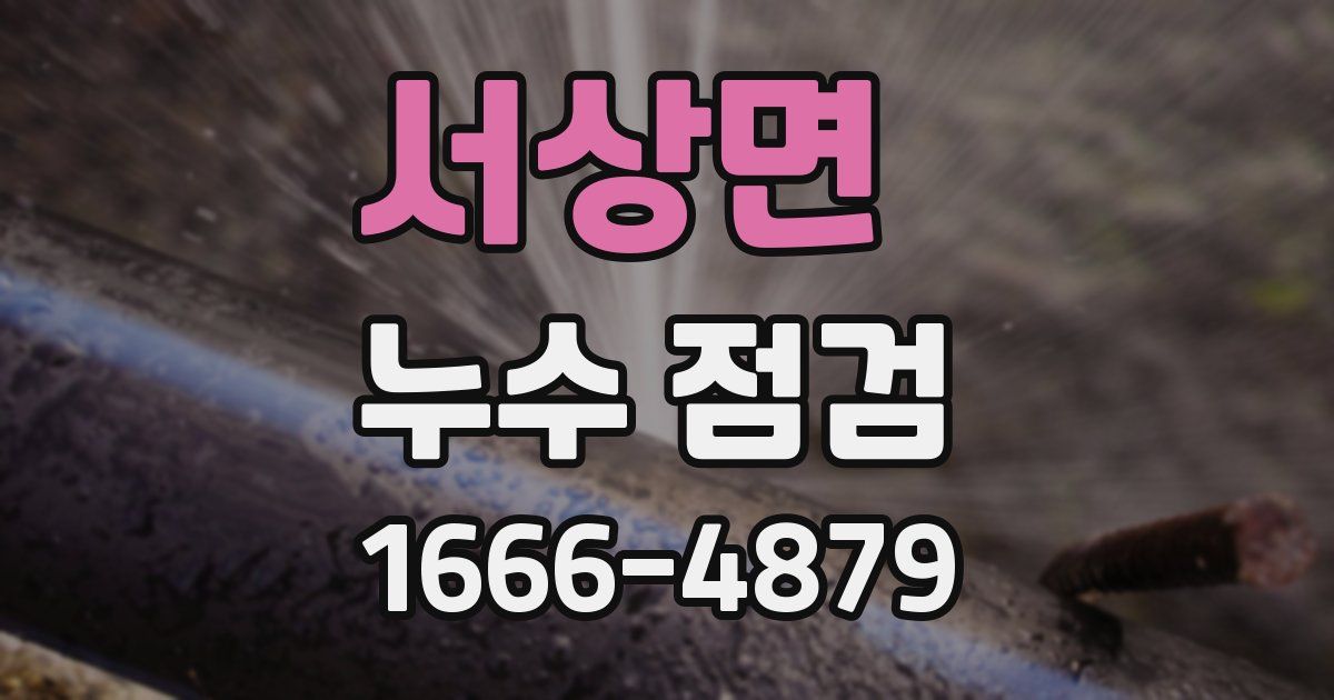 서상면 누수 점검