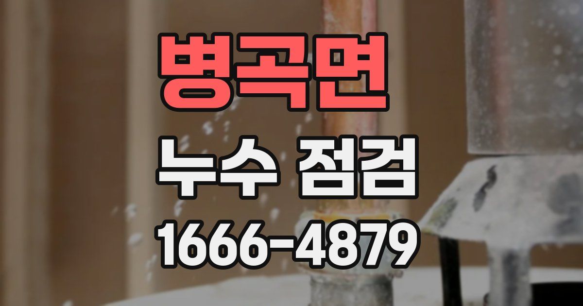 병곡면 누수 점검