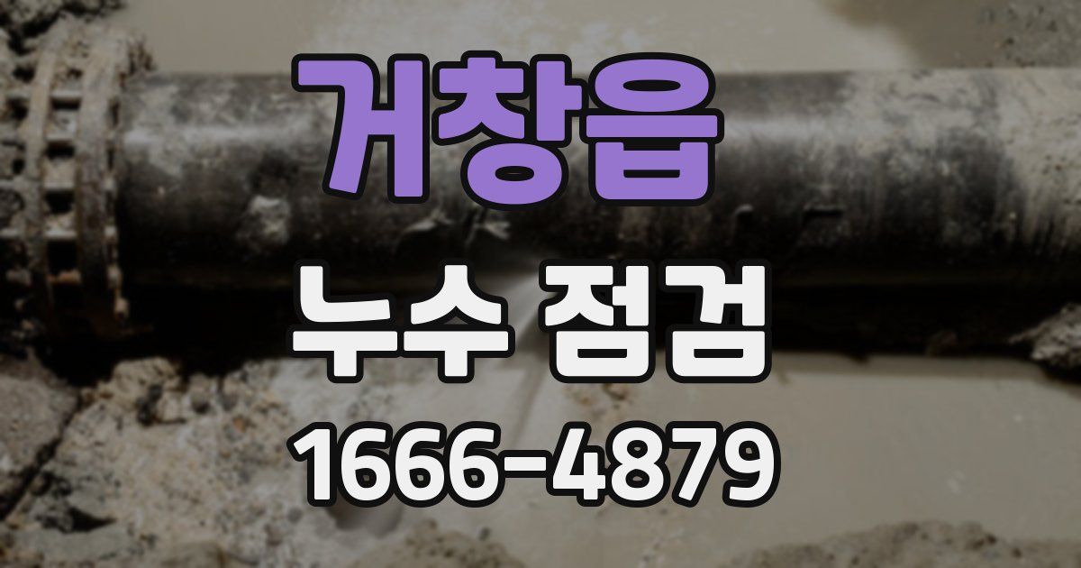 거창읍 누수 점검