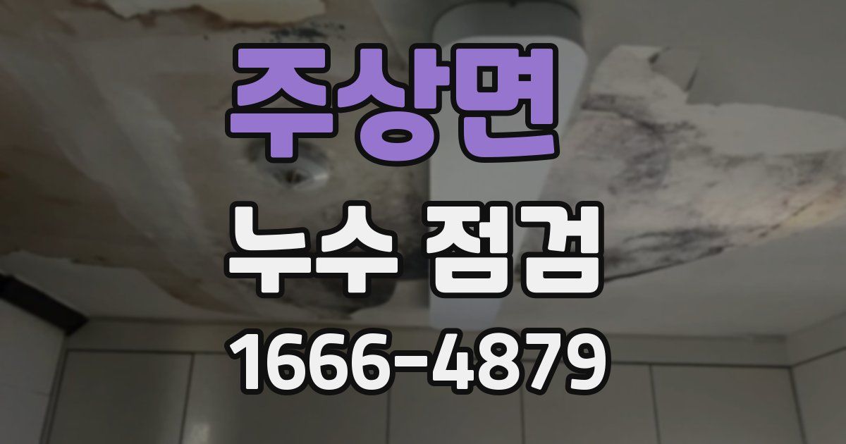 주상면 누수 점검