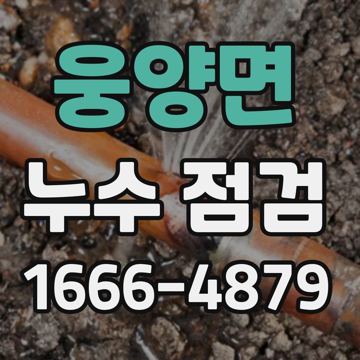 웅양면 누수 점검