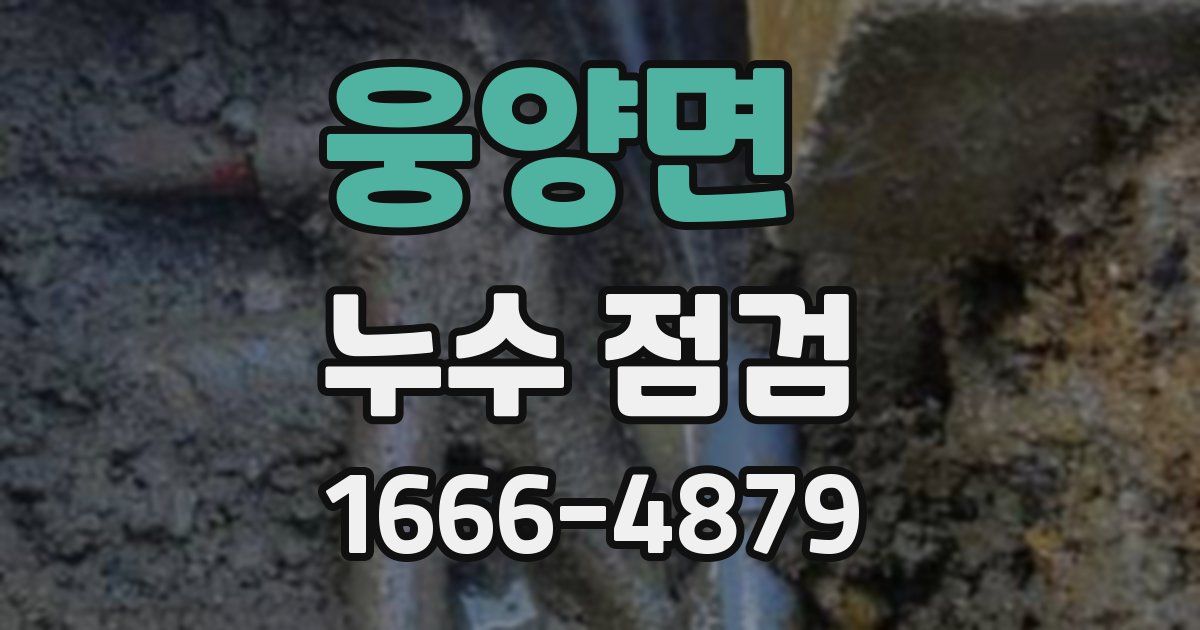 웅양면 누수 점검