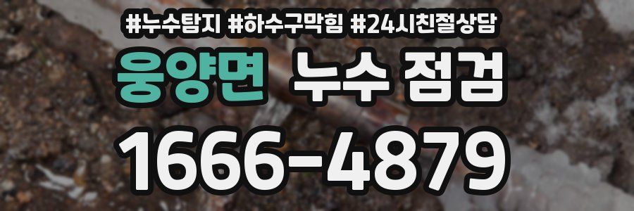 웅양면 누수 점검