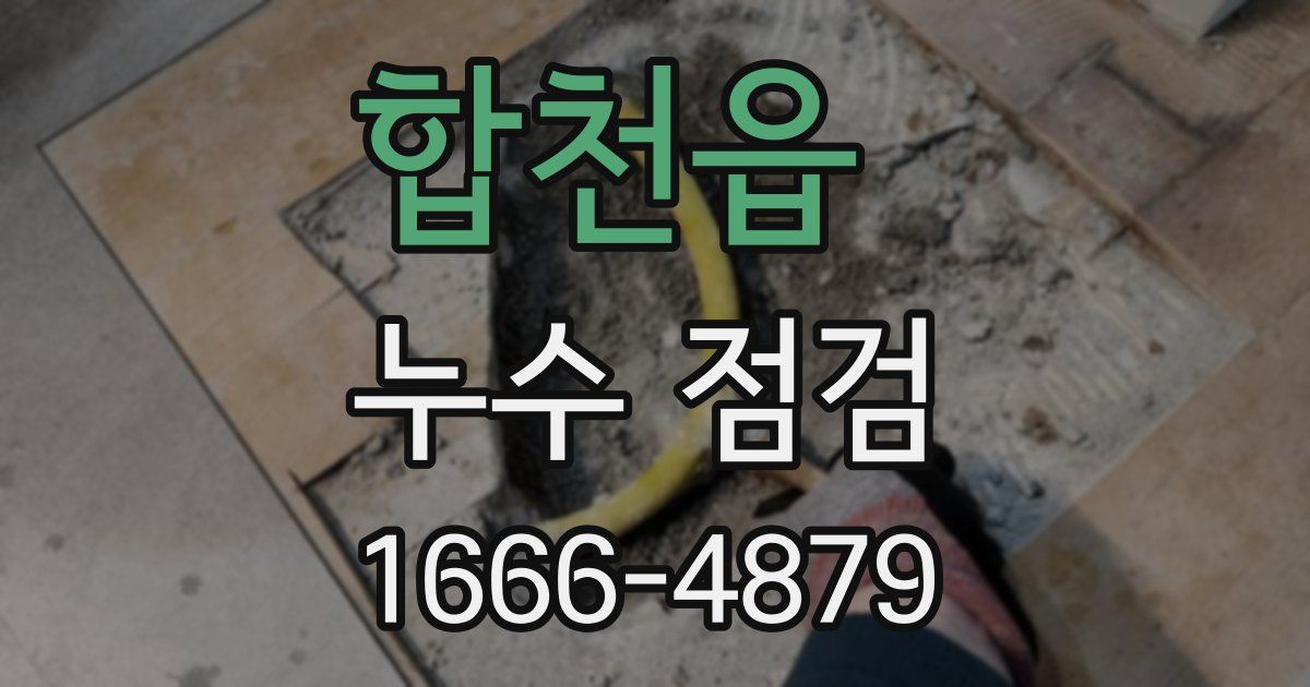 합천읍 누수 점검
