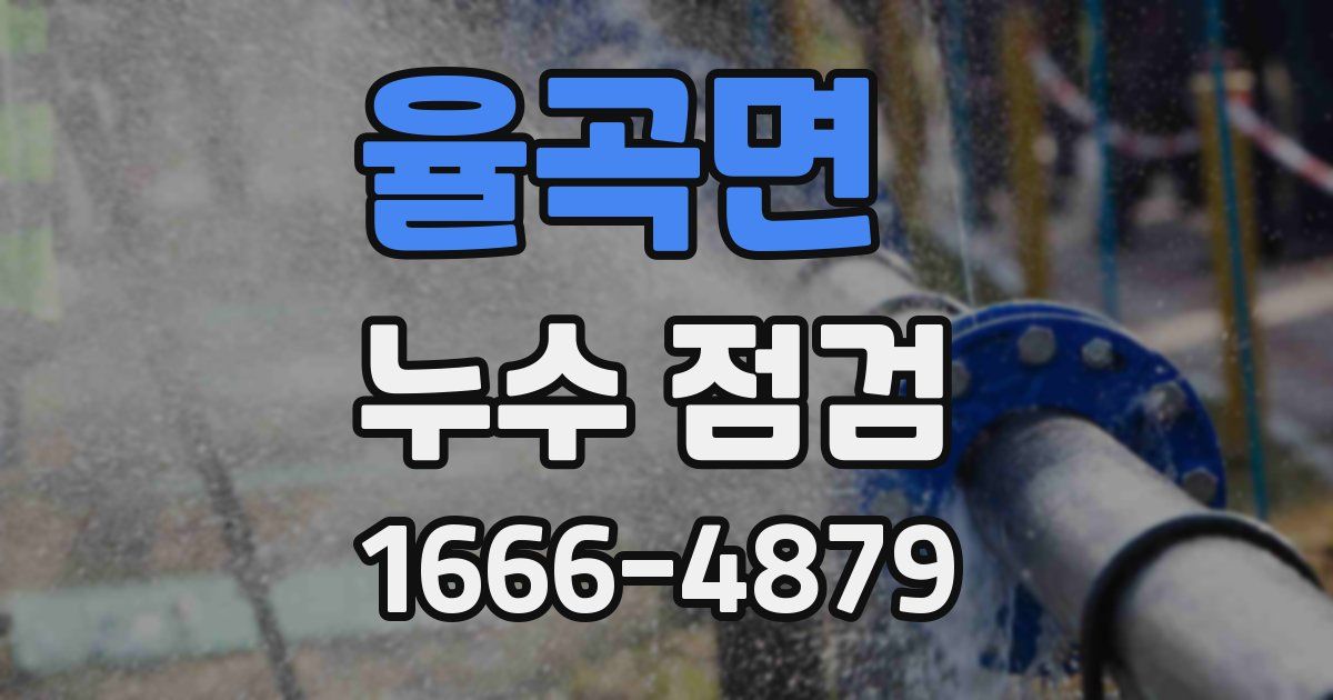율곡면 누수 점검