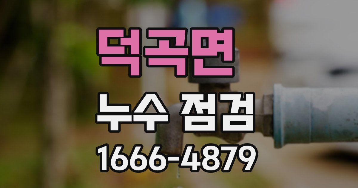 덕곡면 누수 점검