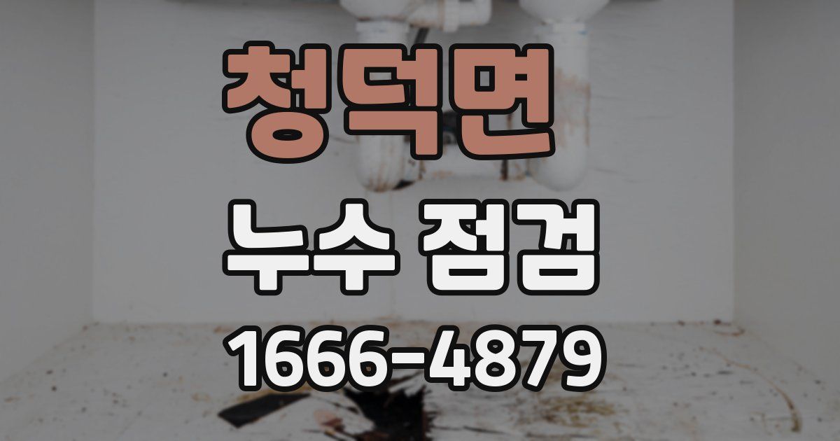 청덕면 누수 점검