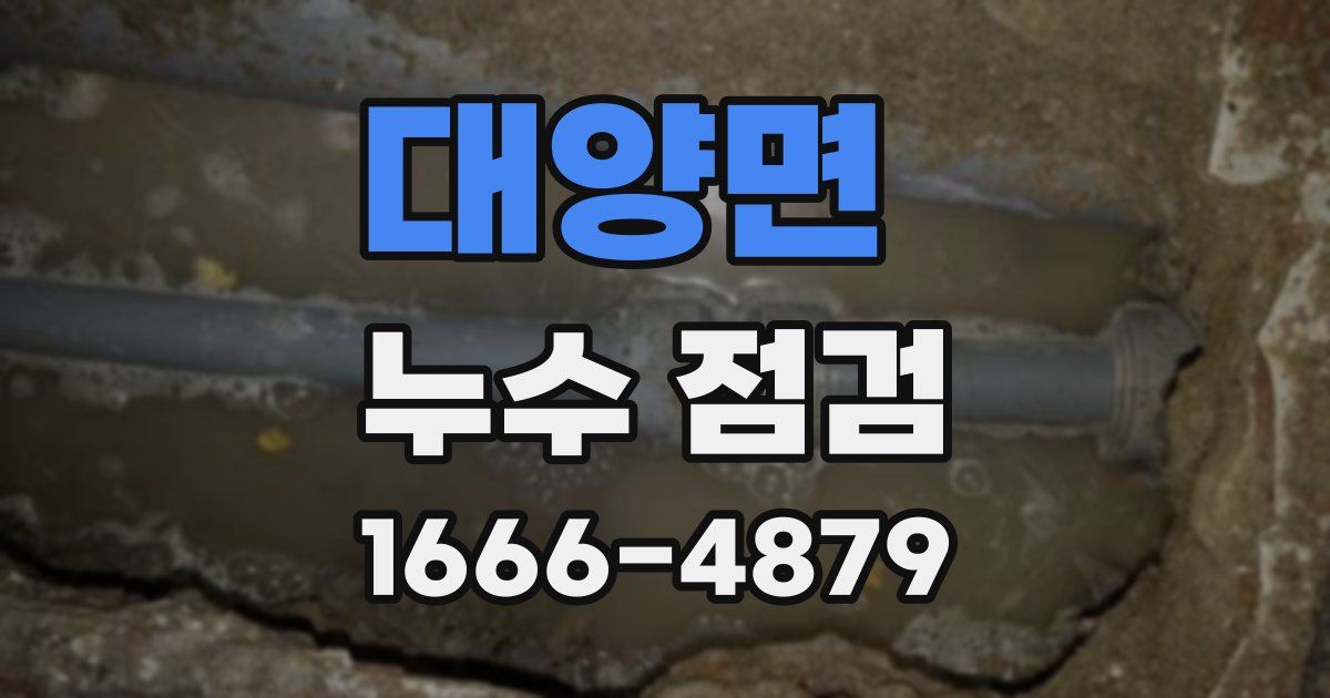 대양면 누수 점검