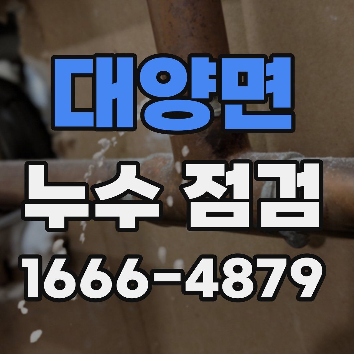 대양면 누수 점검