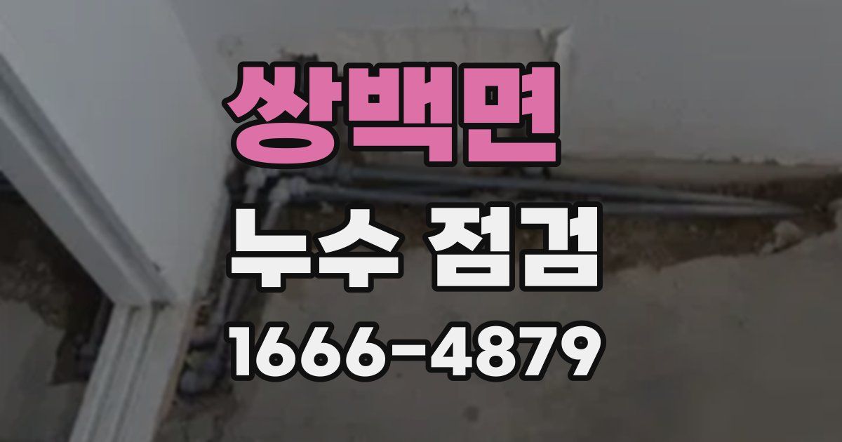쌍백면 누수 점검