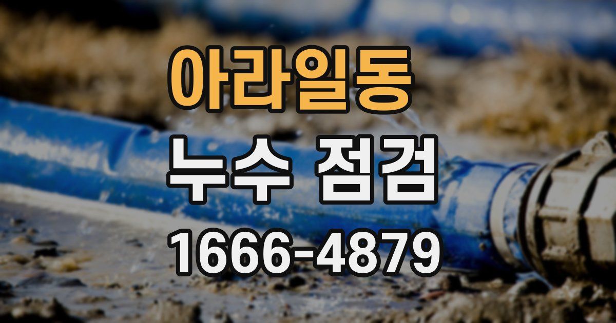 아라일동 누수 점검