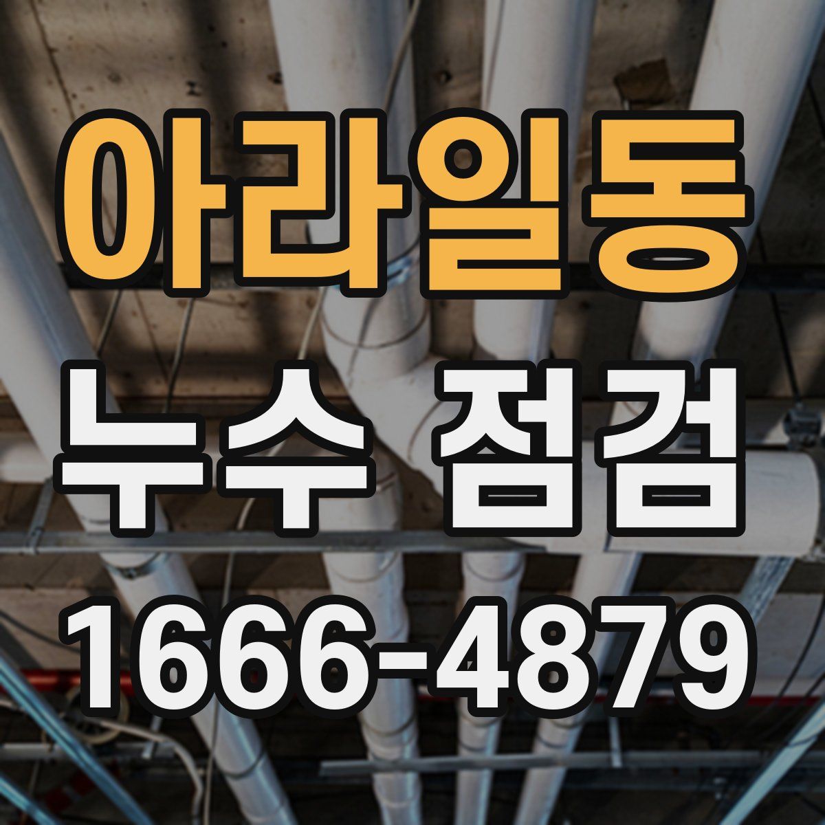 아라일동 누수 점검