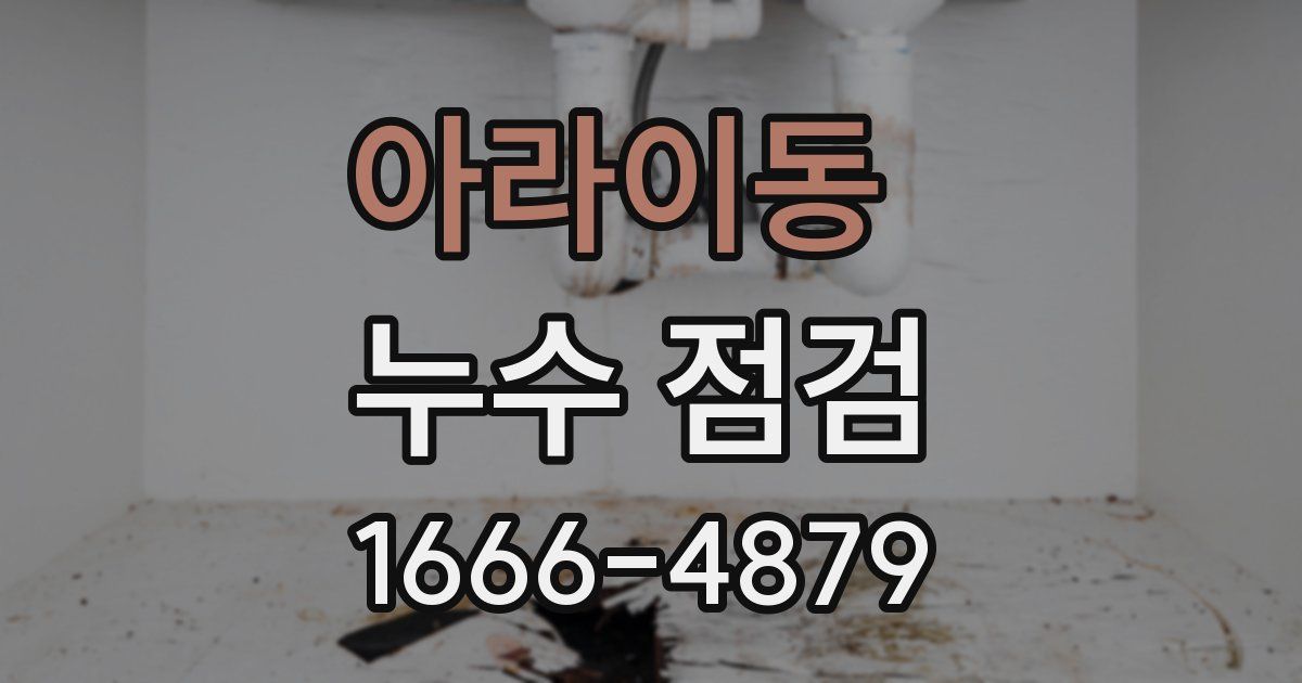 아라이동 누수 점검