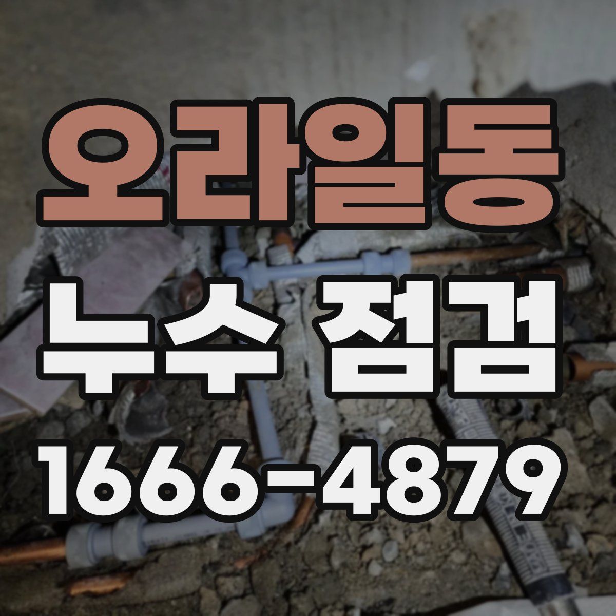 오라일동 누수 점검