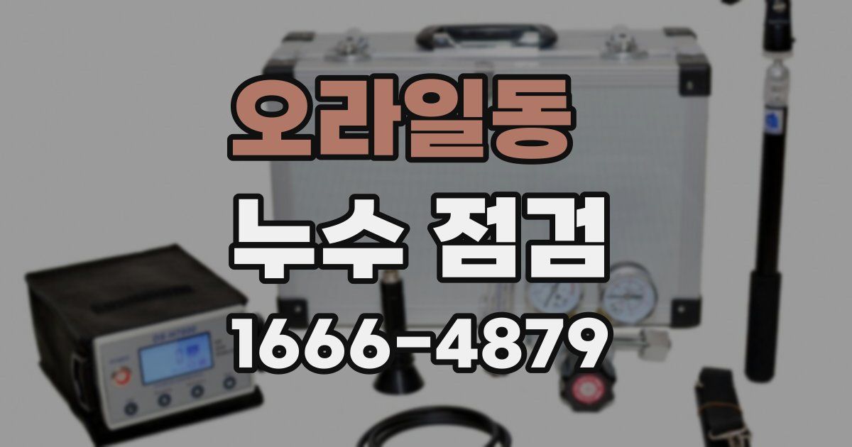 오라일동 누수 점검