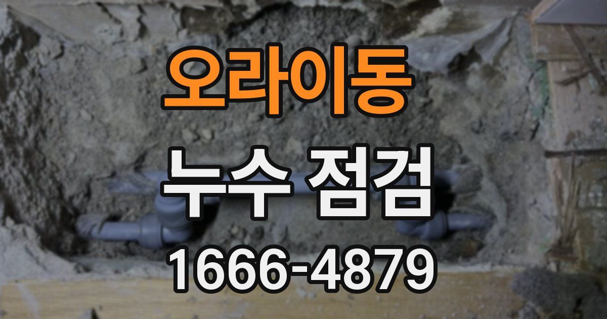 오라이동 누수 점검