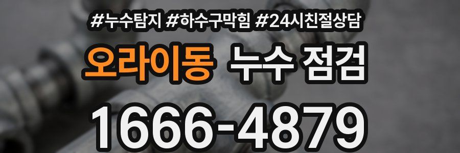 오라이동 누수 점검