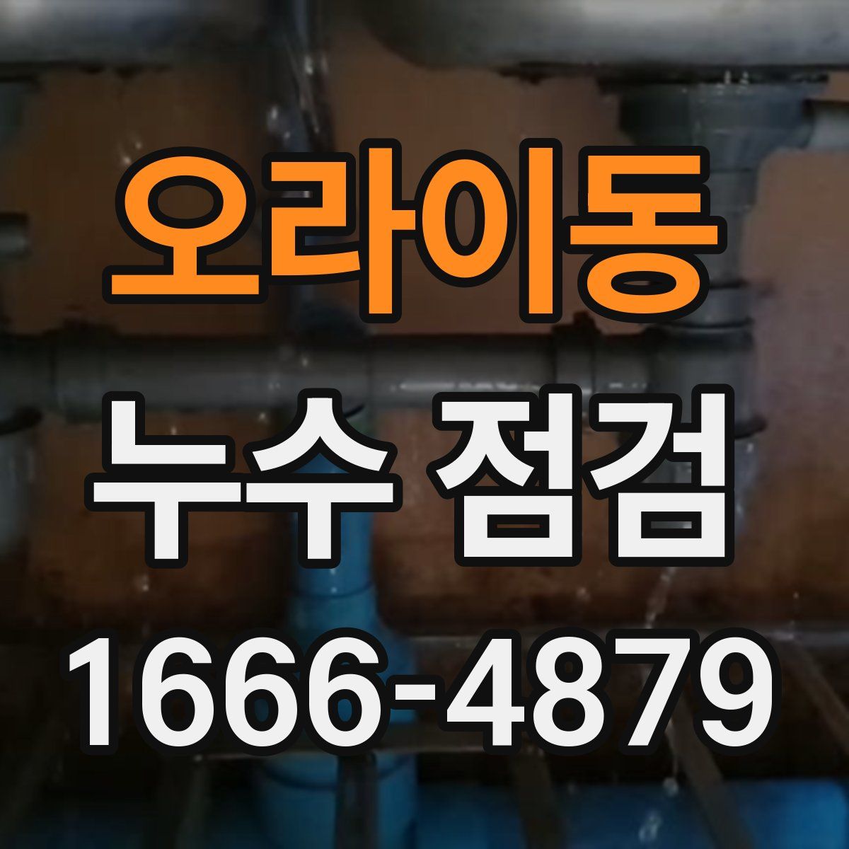 오라이동 누수 점검