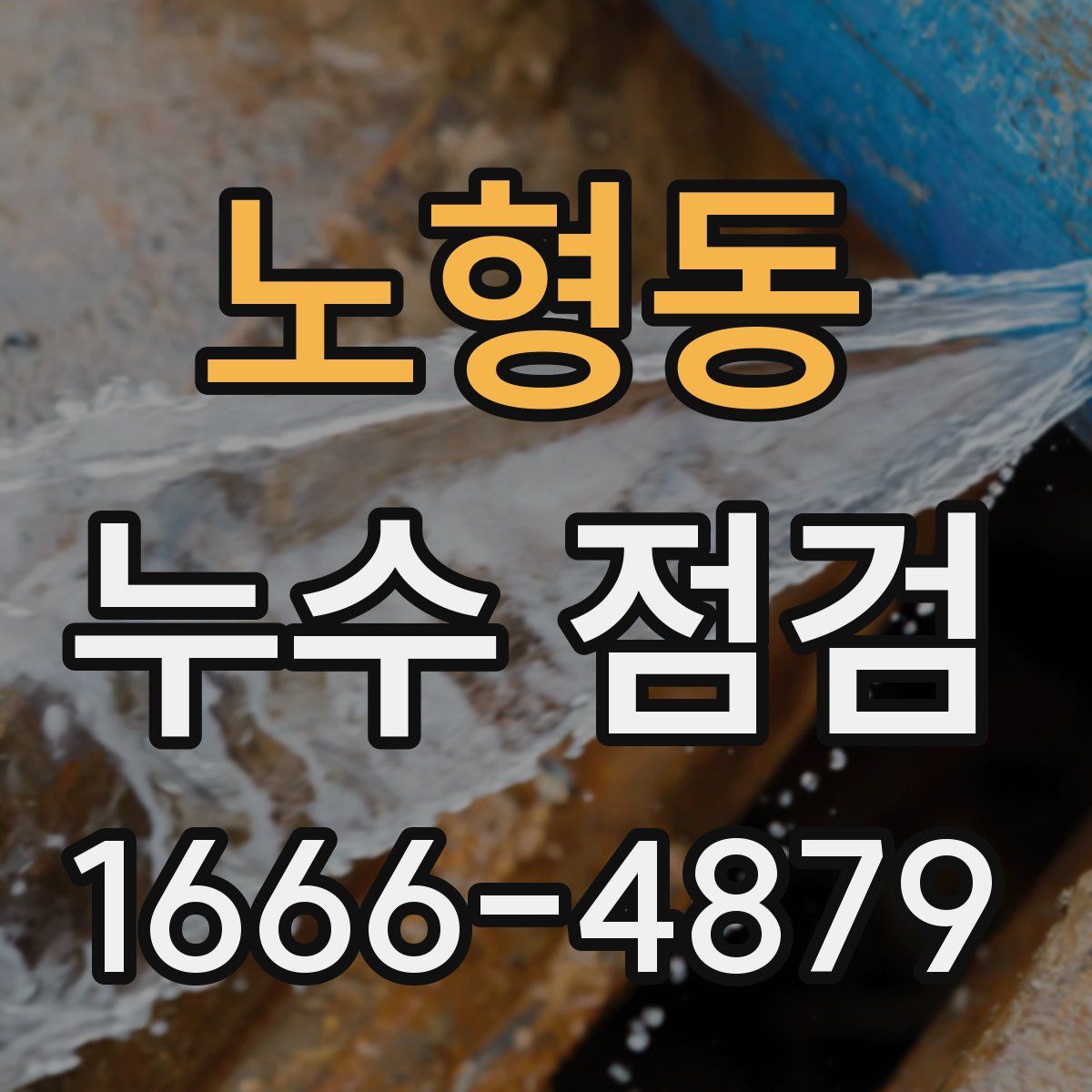 노형동 누수 점검