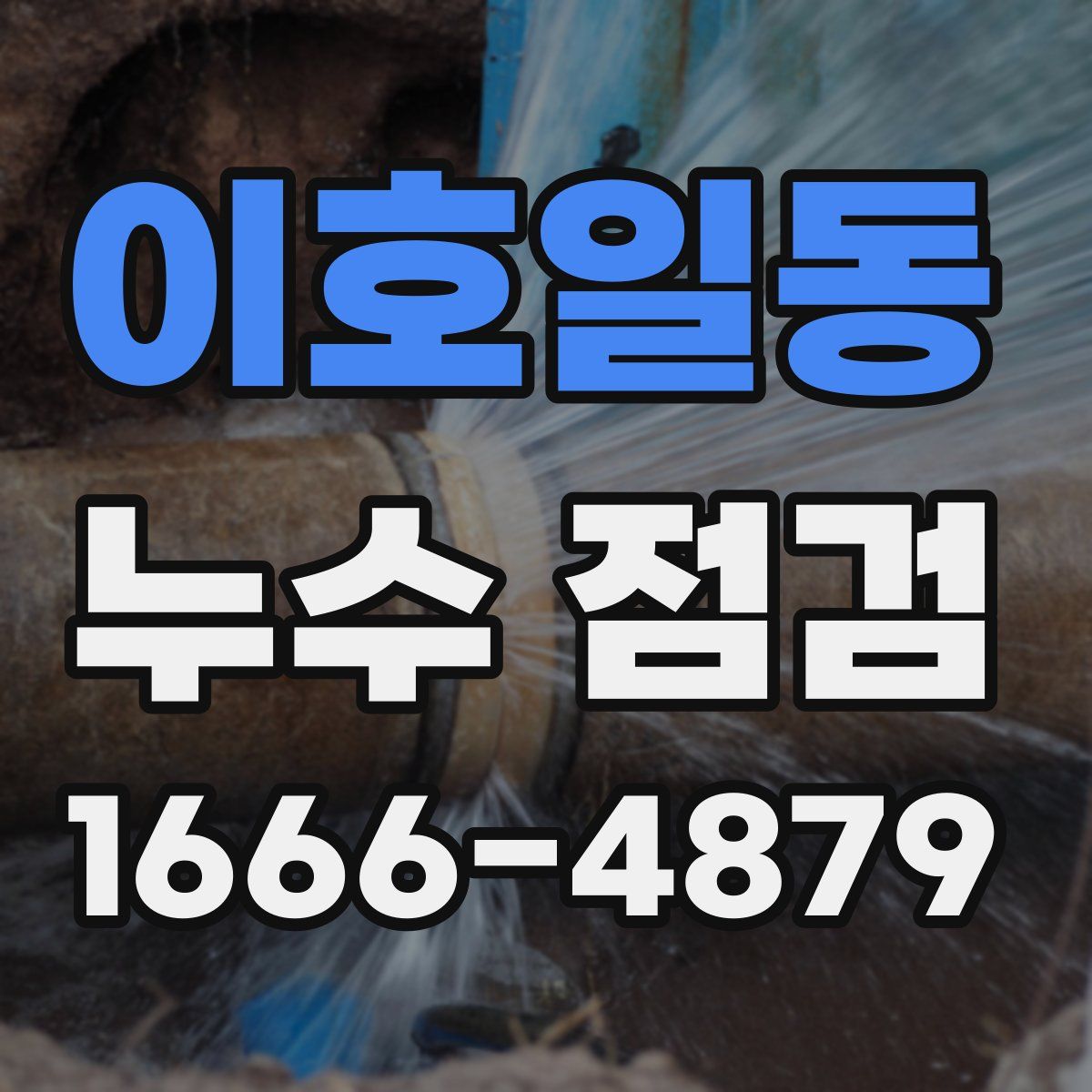이호일동 누수 점검
