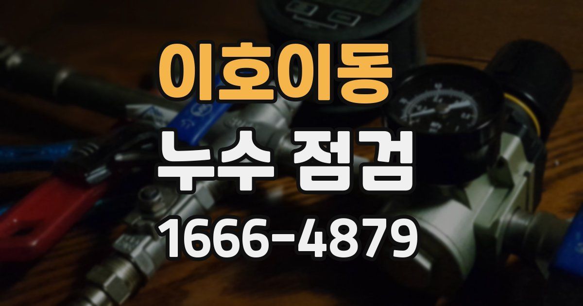 이호이동 누수 점검
