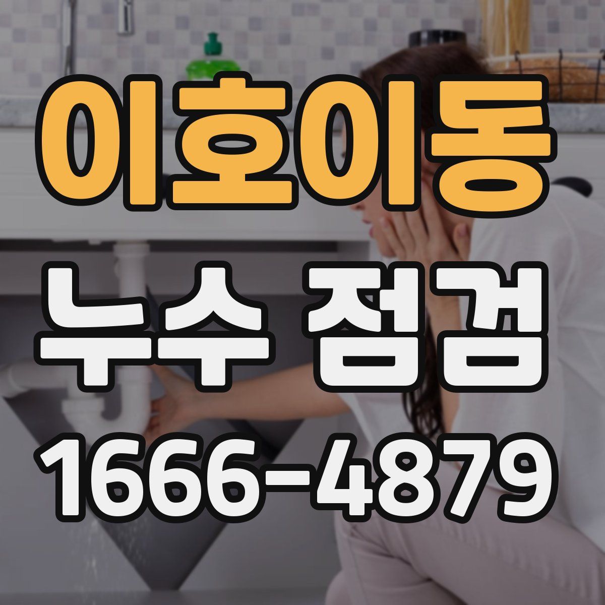 이호이동 누수 점검