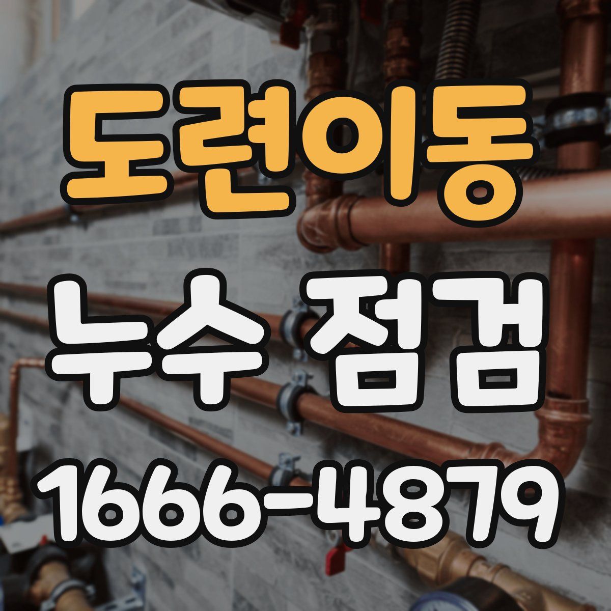 도련이동 누수 점검